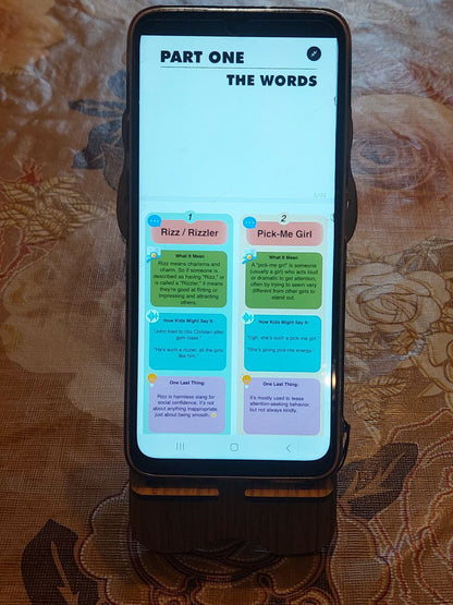 The Clueless Parent And The Modern Kid